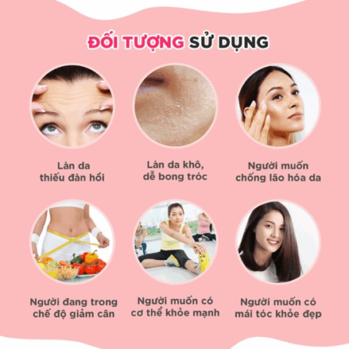 DHC Combo Viên Uống bổ Sung Collagen &C Coezyme Q10 Nhật Bản 30 Ngày