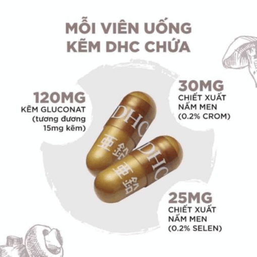Viên Uống DHC Zinc Bổ Sung Kẽm Gói 30 Viên (30 Ngày)